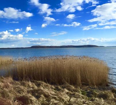 11136779_1043342112360074_4635498328083810200_n